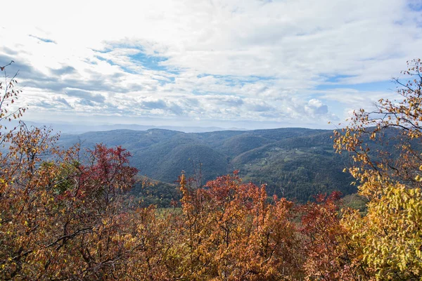 Вид Горный Ландшафт Ущелье Овкар Каблар Западной Сербии Осенний День — стоковое фото