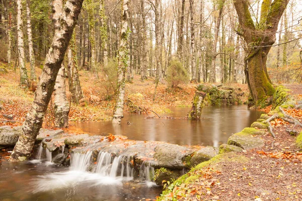 Krásná Podzimní Krajina Řekou Malým Vodopádem — Stock fotografie