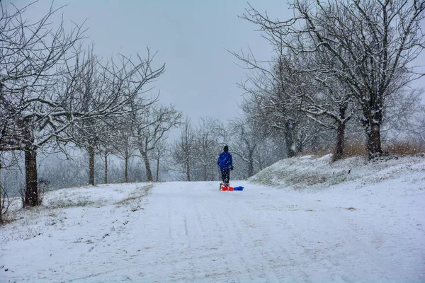 Afară Zăpadă Sania Zăpadă — Fotografie, imagine de stoc