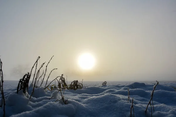 Hermoso Paisaje Invierno Con Nieve — Foto de Stock