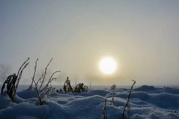 Paisaje Invernal Con Nieve Árboles — Foto de Stock