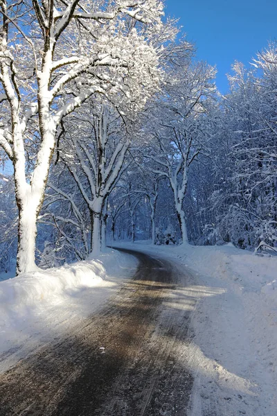 Uma Estrada Inverno Nevado Com Árvores Baviera — Fotografia de Stock