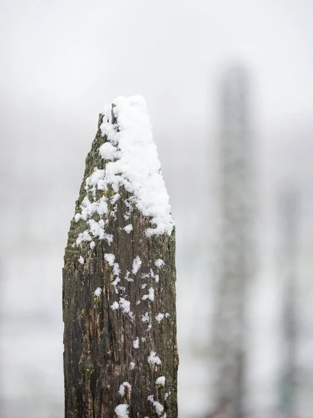 Деревянный Стенд Зимнем Винограднике Бургенланде — стоковое фото