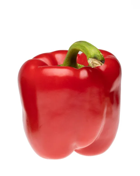 Paprika 胡椒红 甜椒分离 甜红辣椒 有快捷方式 白色背景下的选择性聚焦图像 — 图库照片