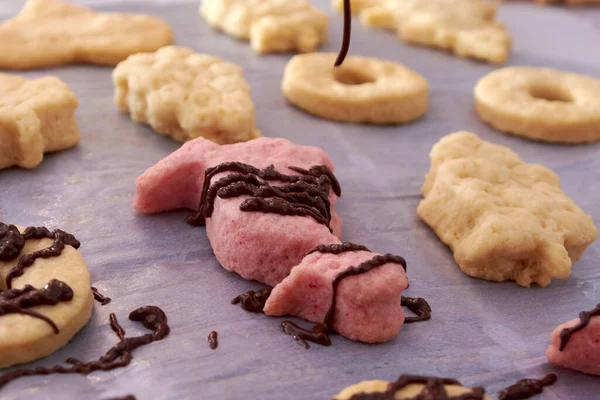 Galletas Caseras Con Chocolate Nueces — Foto de Stock