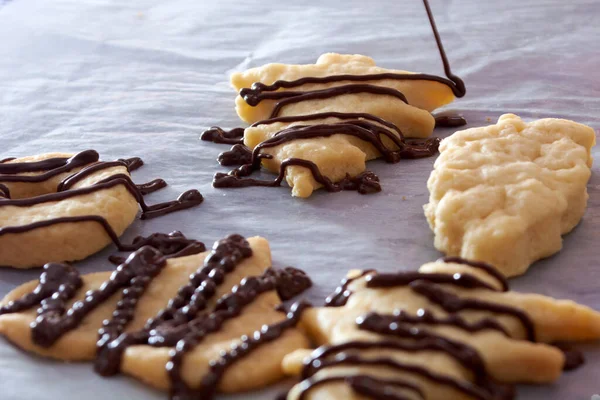 Biscoitos Chocolate Com Nozes Canela Fundo Madeira — Fotografia de Stock