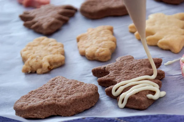 Hausgemachte Plätzchen Mit Schokolade Und Milch — Stockfoto