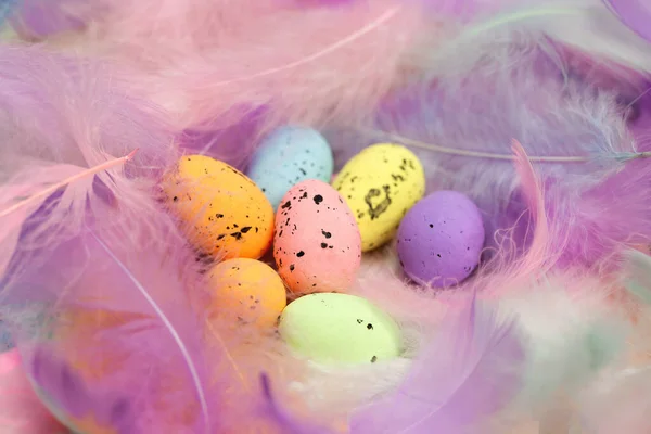 色彩斑斓的复活节彩蛋 背景为彩色羽毛 复活节 宗教概念贺卡或背景设计 柔和明亮的色彩 — 图库照片