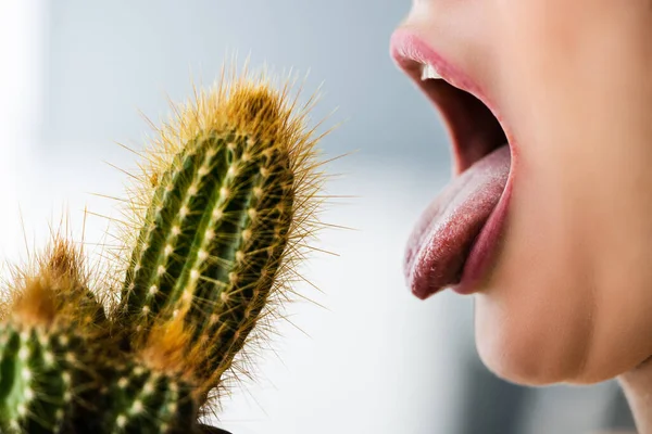 Sexig Kvinna Med Lång Tunga Slickar Vass Kaktus — Stockfoto