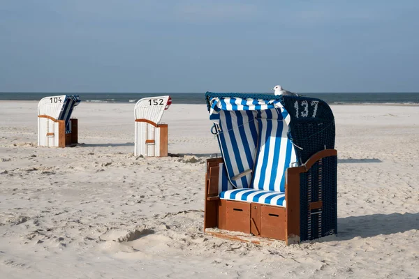 Chaises Longues Sur Côte Mer — Photo