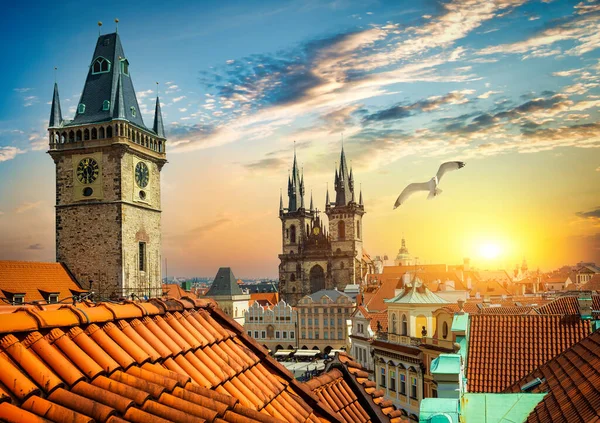 Prag Czech Cumhuriyeti Eylül 2019 Wroclaw Daki Saat Kulesi — Stok fotoğraf