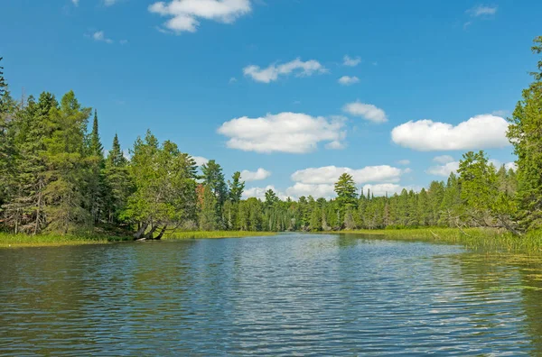 Canal Boas Vindas North Woods Lake Silvânia Wilderness Michigan — Fotografia de Stock