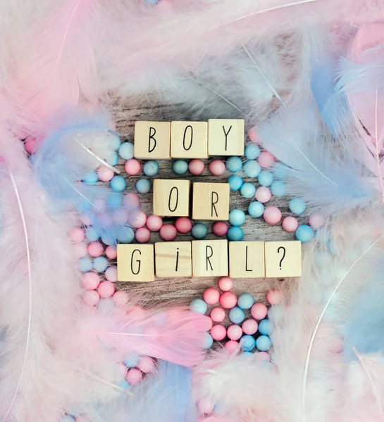 Boy Girl Text Surrounded Pastel Colored Feathers Gender Reveal Gathering — Stock Photo, Image