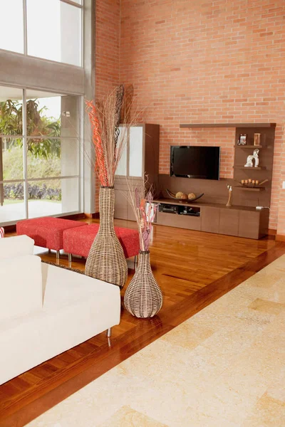 有沙发和木制地板的现代客厅 — 图库照片