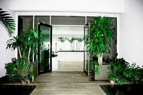 Belo Quarto Hotel Luxo Com Plantas Flores — Fotografia de Stock