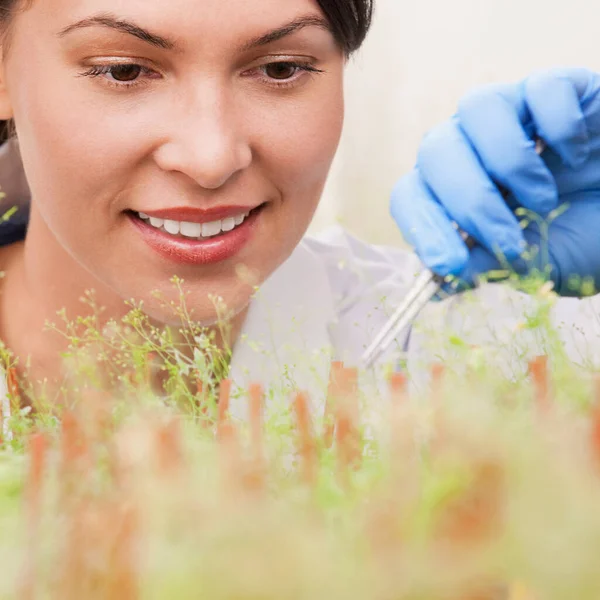 Beautiful Young Woman Flower Her Hands Stock Photo