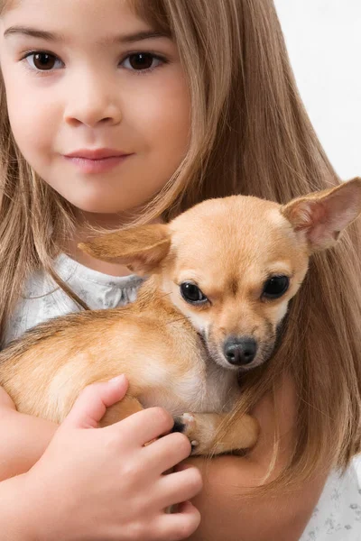 かわいいです女の子と犬 — ストック写真