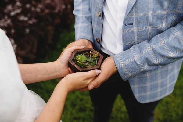 Hände Eines Jungen Paares Mit Einer Grünen Pflanze Garten — Stockfoto