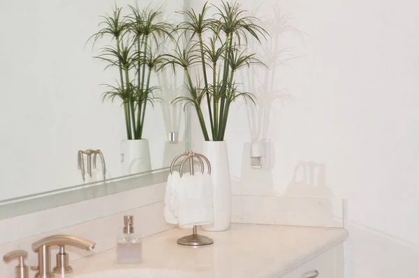 Krásný Bílý Koupelna Interiér Květinami Rostlinami — Stock fotografie