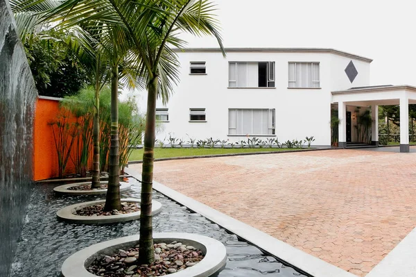 带有棕榈树和植物的现代住宅 — 图库照片