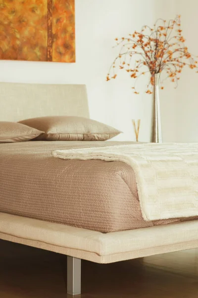 Travesseiro Confortável Sofá Decoração Sala Estar Interior — Fotografia de Stock