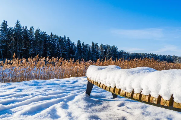 雪に覆われた湖の端にある木製のベンチ — ストック写真