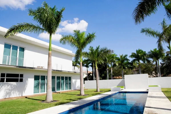 Piscina Con Palmeras Complejo Hotelero — Foto de Stock