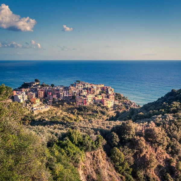 Scenic View Village Corniglia Cinque Terre National Park Italy — Stock Photo, Image