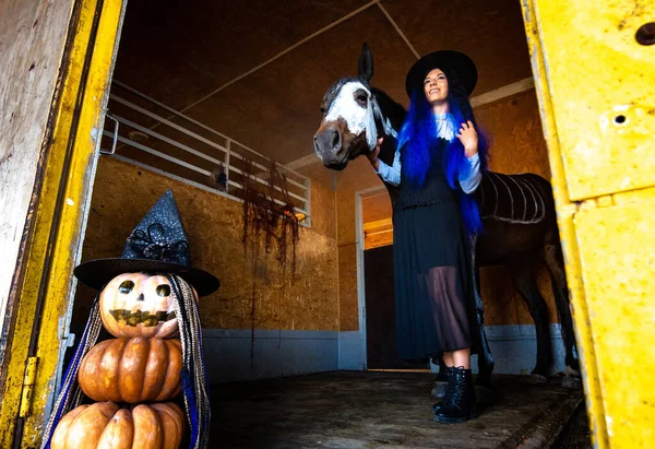 Uma Menina Vestida Como Uma Bruxa Sai Curral Com Cavalo — Fotografia de Stock