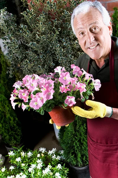 Senior Man Met Bloemen Tuin — Stockfoto