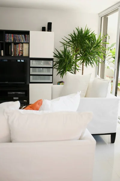 Sala Estar Moderna Interior Com Sofá Cadeira — Fotografia de Stock