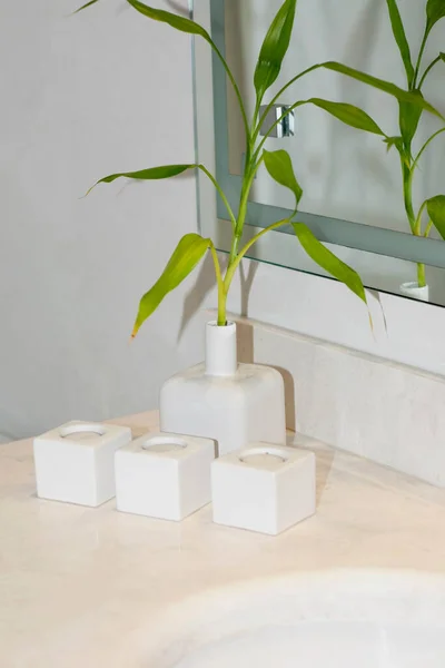 Bílá Keramická Koupelna Interiér Zelenými Rostlinami Květinami — Stock fotografie