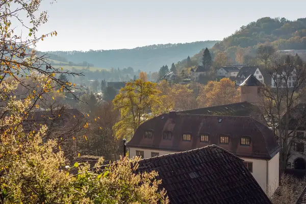 Beau Paysage Automne Avec Des Arbres Des Feuilles Vertes — Photo