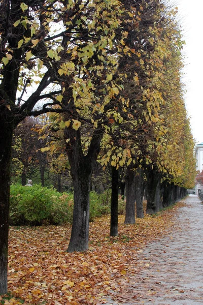 Palazzo Mirabell Giardino Salisburgo Austria — Foto Stock