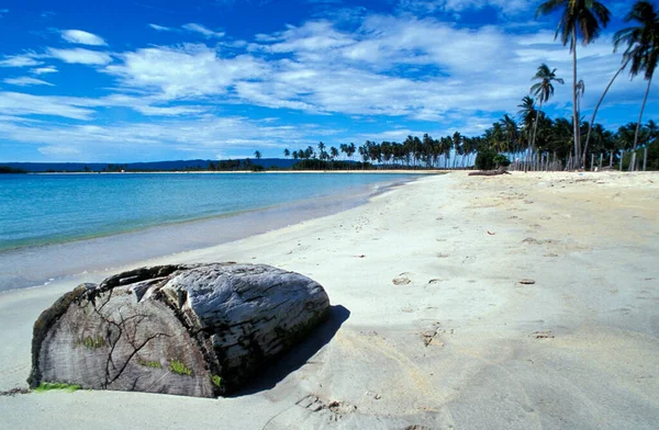 Beautiful Tropical Beach Palm Trees Blue Sky — Stock Photo, Image