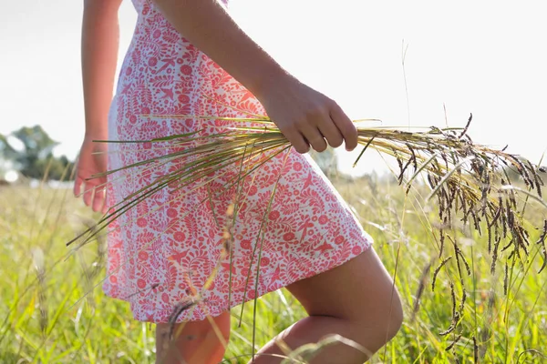 畑に小麦の花束を持った服を着た女性が — ストック写真