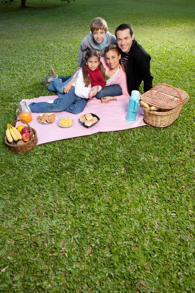 Família Feliz Com Piquenique Parque — Fotografia de Stock