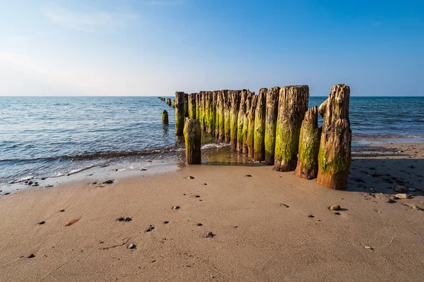 Groynes Sulla Riva Del Mar Baltico Graal Mueritz Germania — Foto Stock