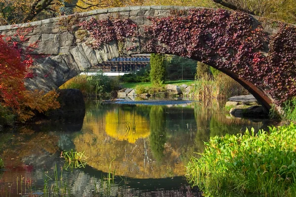 Schöne Aussicht Auf Den Park — Stockfoto