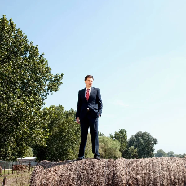 Young Businessman Standing Grass Looking Away — Stock Photo, Image