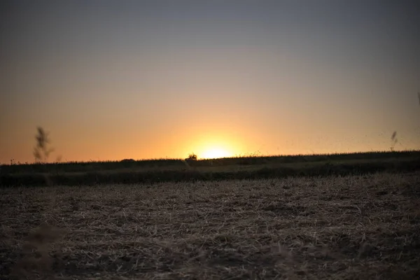 Belo Pôr Sol Sobre Campo — Fotografia de Stock