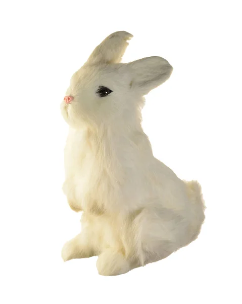 以白色背景分离的兔子 — 图库照片