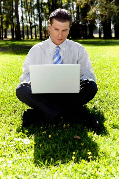 Young Businessman Sitting Grass Working Laptop — Stock Photo, Image