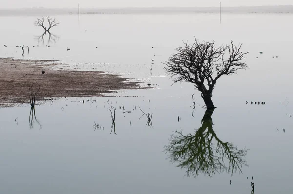 Prachtig Uitzicht Het Meer Ochtend — Stockfoto