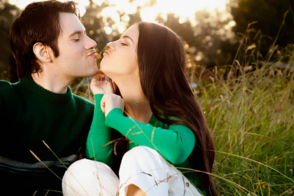 Young Couple Love Hugging Kissing Grass — Stock Photo, Image