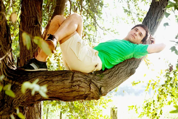 Young Man Lying Grass Park Stock Picture
