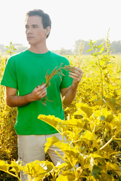 Молодий Чоловік Жовтій Сорочці Капелюсі Соняшником Руці — стокове фото