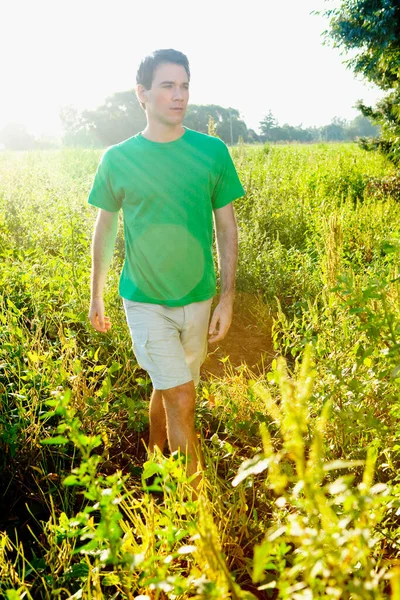 Молодой Человек Зеленом Поле — стоковое фото