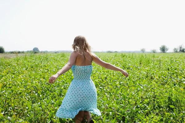 Young Girl White Dress Bouquet Flowers Field — Stock Photo, Image