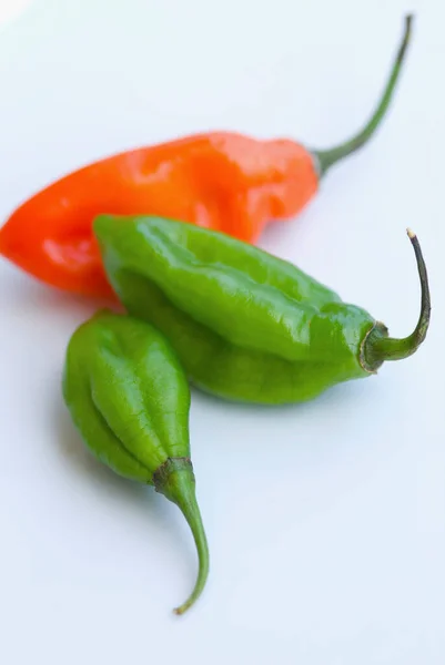 Red Hot Chili Pepper Auf Weißem Hintergrund — Stockfoto